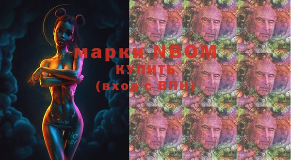 стафф Алзамай