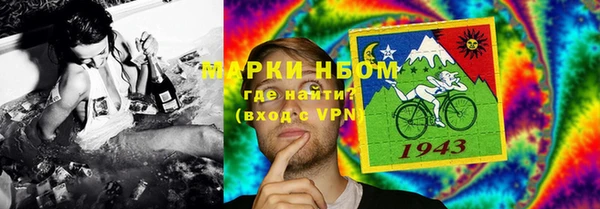 стафф Алзамай