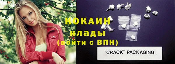 стафф Алзамай