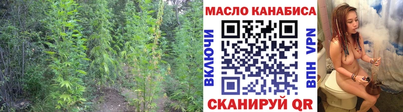 хочу наркоту  omg как войти  Дистиллят ТГК THC oil  Александровское 