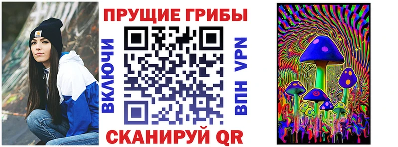 МЕГА ссылка  Александровское  Галлюциногенные грибы прущие грибы 