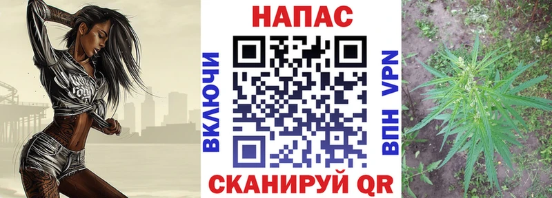 Шишки марихуана тримм  Александровское 